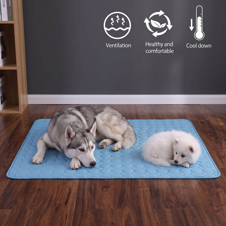 chillpad used on the floor for a dog and his puppy