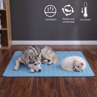 chillpad used on the floor for a dog and his puppy
