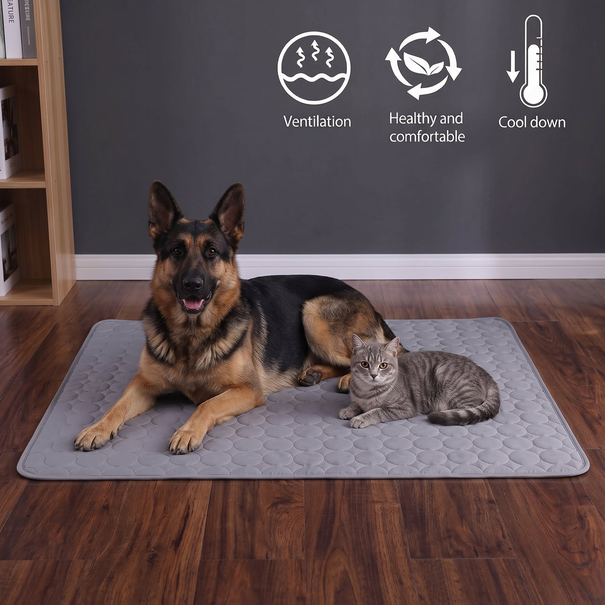 chillpad used on the floor for a cat and a german shepard