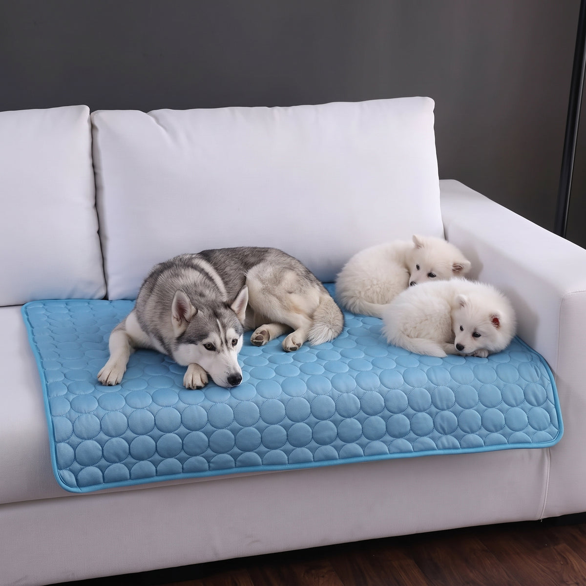 The ChillPad™ Pet Cooling Mat