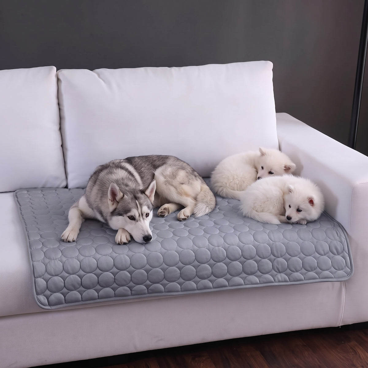 The ChillPad™ Pet Cooling Mat